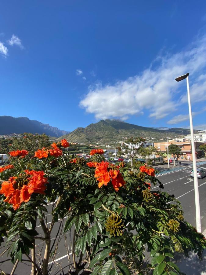 Casatranquila Appartement Los Llanos De Aridane Buitenkant foto